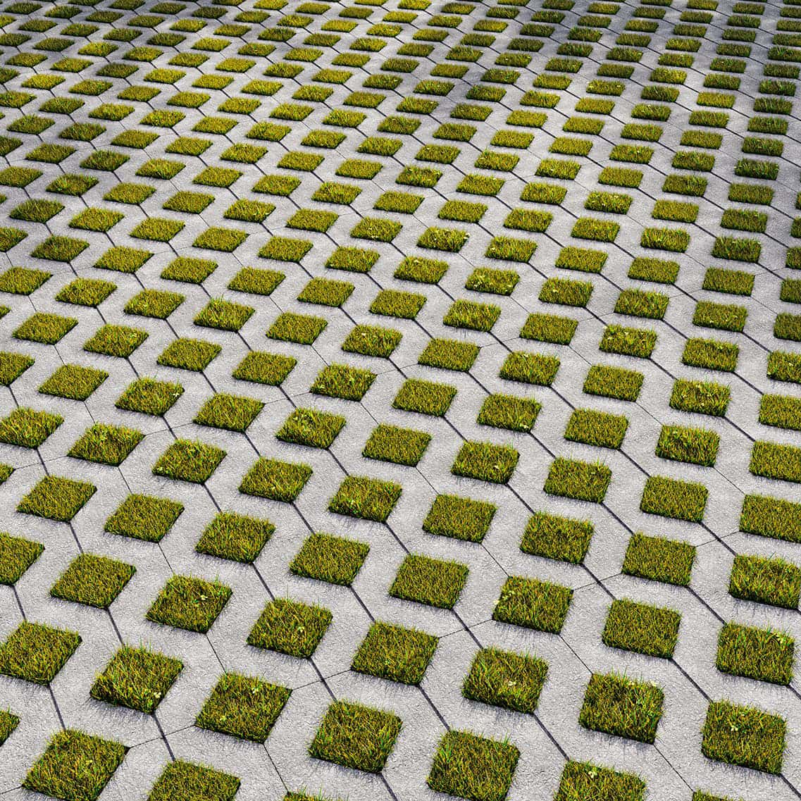 Grass Cover Grid Hexagonal